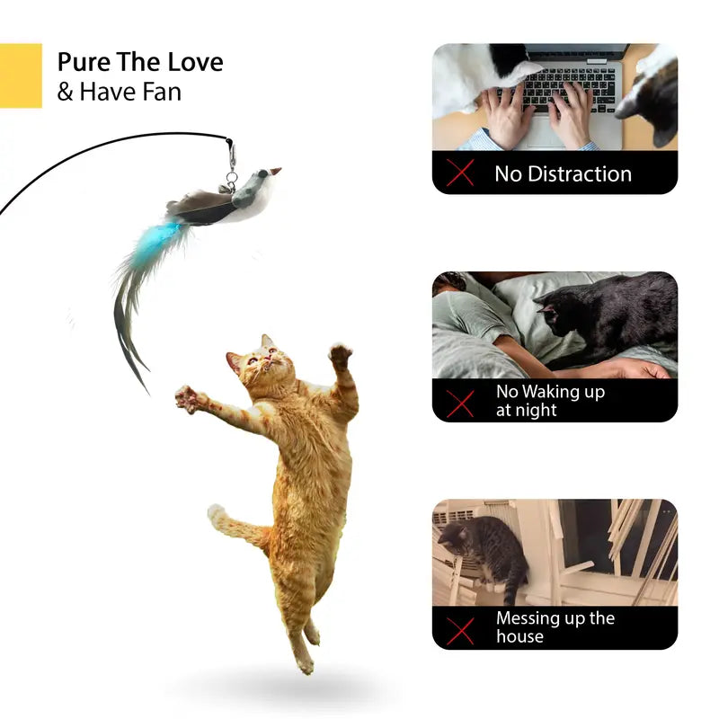 Interactive Bird Toy
