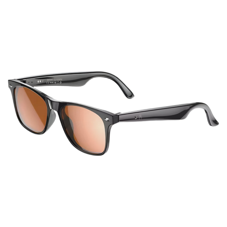 Smart Glasses