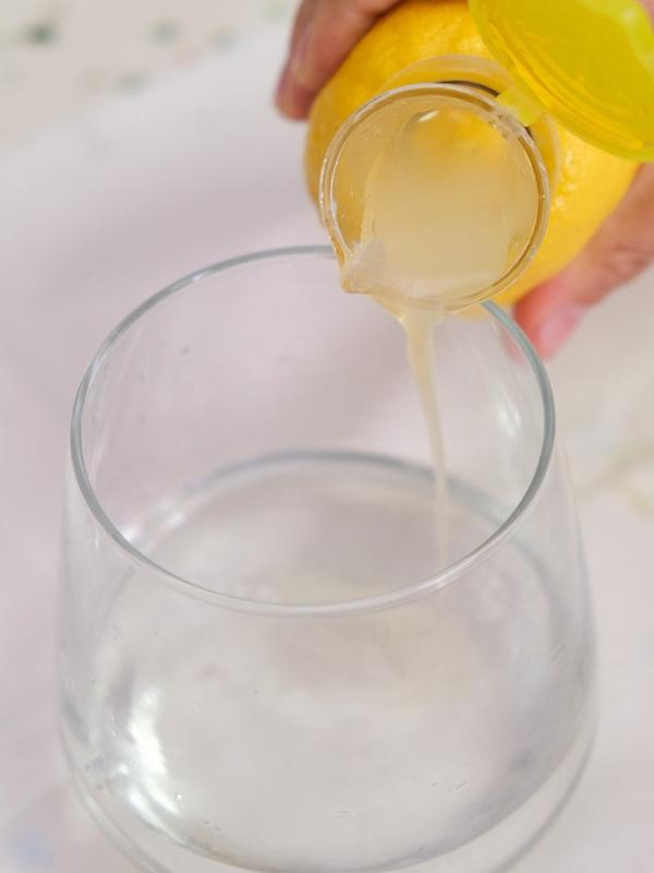 Lime Juicer