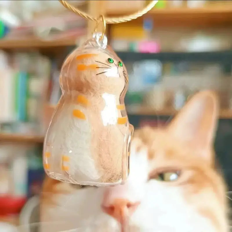 Cat Fur Memory Charm