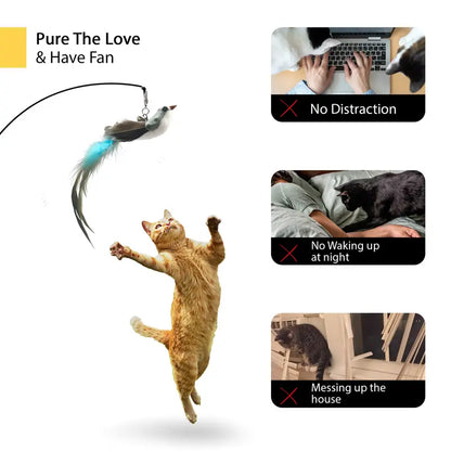 Interactive Bird Toy