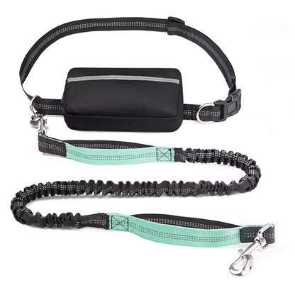 Hands Free Dog Leash