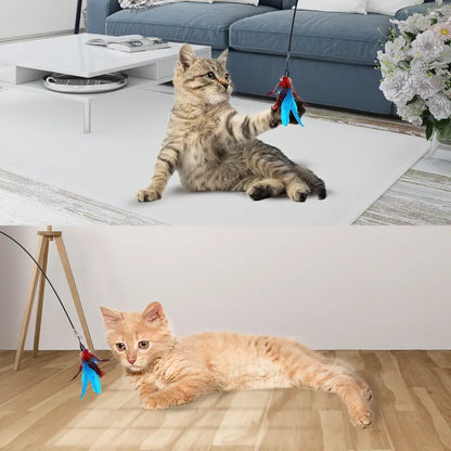 Interactive Bird Toy