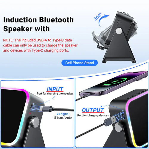 Phone Induction Speaker